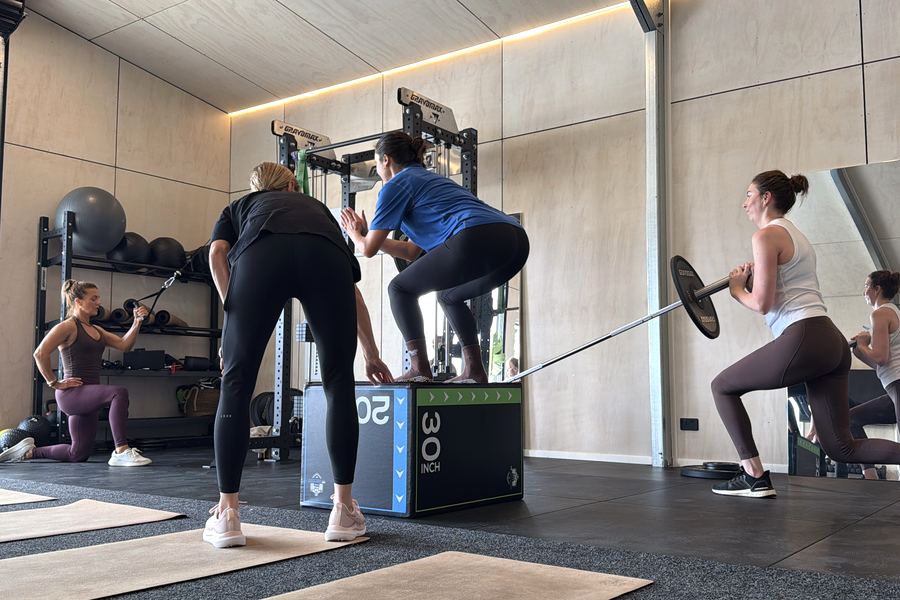 Step-ups and landmine presses mid-class